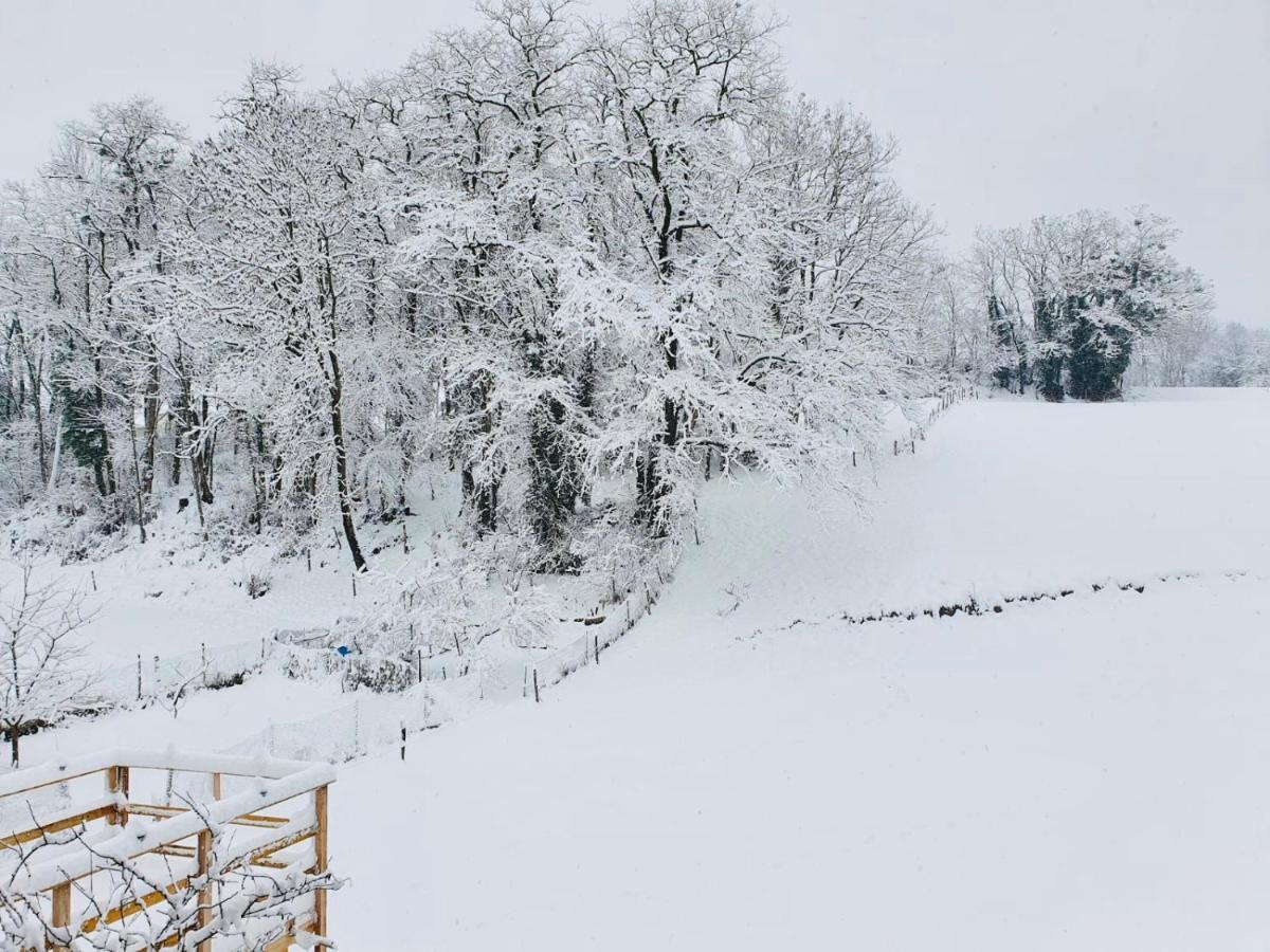 Sainte-Helene-du-Lac Le Lodge Du Pichat المظهر الخارجي الصورة